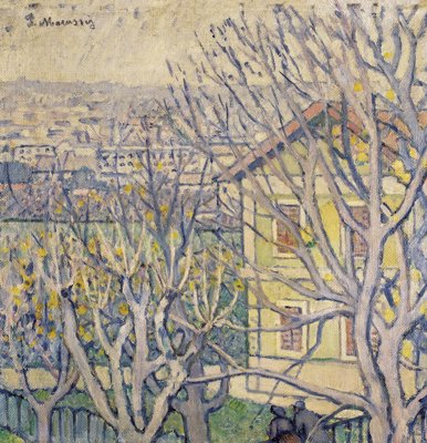 Veduta della villa, 1911