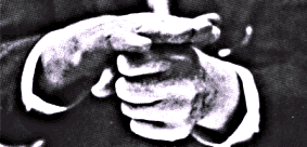 Mani di Frank Lloyd Wright, La Copertura