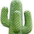 Cactus di Gufram