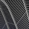 Santiago Calatrava - Olympic Sports Complex - Athens, Greece