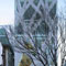 TOD'S Omotesando Building, 2002-2004, Shibuya-ku, Tokyo, Japan - Photo by Nacasa & Partners Inc.