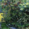 Vincent van Gogh - Il giardino dell'ospedale a Saint-Rémy, 1889 - Olio su tela, cm 91,5 x 72 - Kröller Müller Museum, Otterlo