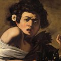 Caravaggio - Fanciullo morso da un ramarro, 1594, olio su tela, cm 65,8 x 52,3