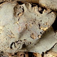 Mummia, Fine Primo Periodo Intermedio (2100 a. C. - 1900 a. C.), Torino, Soprintendenza Museo Egizio