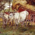 Giovanni Fattori - Buoi al carro (carro rosso), olio su tela, cm 117 x 200