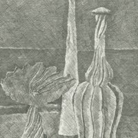 Giorgio Morandi, Natura morta con compostiera, bottiglia lunga e bottiglia scannellata, 1928, Acquaforte, mm 234 x 182. Bologna, Museo Morandi