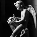Luigi Bienaim - Amore che abbevera le colombe, Museo  Statale dell'Ermitage  Aurelio Amendola