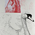 Nani Tedeschi - da Leda e il Cigno, 2007 - Olio su tela, Berlino, Gemäldegalerie, Tecniche miste su carta di 100 x 70 cm
