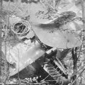Costruire per distruggere. Le fotografie di un pioniere austro-ungarico (ex Pescheria):10 agosto 1917, Ojtoz. Un aeroplano abbattuto
fra le due trincee
