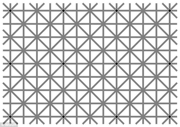 Quanti puntini neri riuscite a
vedere nella griglia?