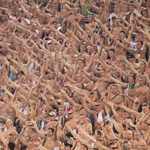 Legia Warszawa fans cheer at a Europa League match in Rome