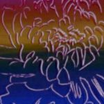 Andy Warhol - Kiku, 1983 - Serigrafia su cartone lenox museum, cm 80 x 100, Quadro - Stefano Civati Art Consulting