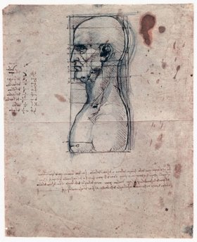 Busto di un uomo visto di profilo con schema per le misure della testa