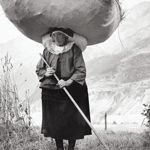 Pepi Merisio, Fienagione a Cogne (Aosta), 1959