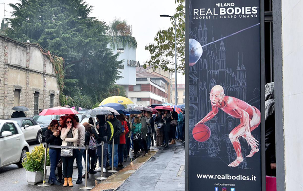 Real Bodies, scopri il corpo umano. Allo Spazio Ventura - Milano