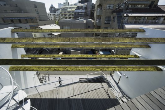 Winner - Vegetation installation