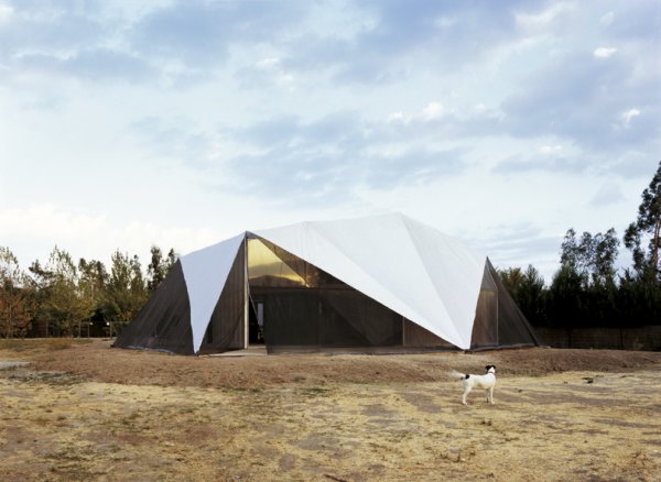 Winner - Wall House