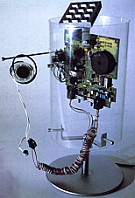 Telefono da tavolo Cinquetacche