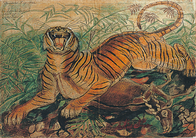 Antonio Ligabue, Tigre reale, china e pastelli a cera su carta intestata dell'Ospedale Psichiatrico San Lazzaro di Reggio Emilia, 1941, 36x50 cm.