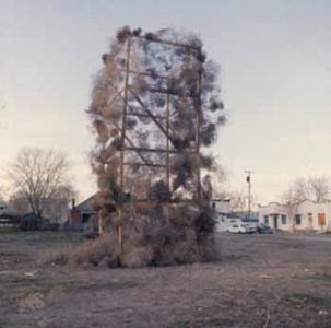 Tumbleweeds Catcher, 1972