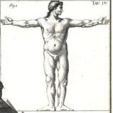 Situazione del Corpo Umano in un quadrato, tratto da LArchitettura di Marco Vitruvio Pollione tradotta e commentata dal marchese Berardo Galiani