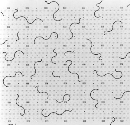 Con Archizoom Associati, 1969