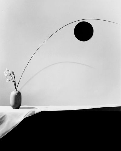 Flower 1096, silver print, ed. 6/10, 1983