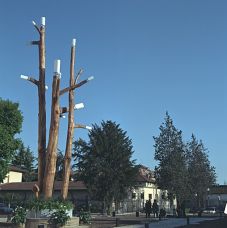 Foto di Francesco Zanot