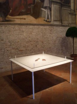 Sezione Fiori e colore (1989)