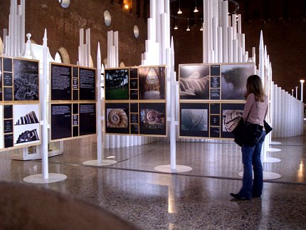 Pannelli espositivi con foto e disegno nella parte absidata