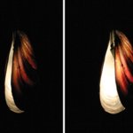 Valencia. Lampada a sospensione realizzata con valve di cozza e lampade bispina. All'accensione si schiude grazie al calore delle lampadine alogene, 2004