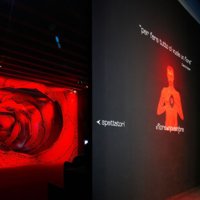 Il fiore di Novembre Triennale di Milano - Milano, Aprile - Maggio 2009; photo Pasquale Formisano
