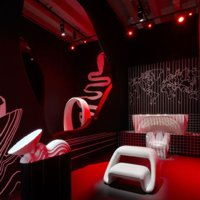 Il fiore di Novembre Triennale di Milano - Milano, Aprile - Maggio 2009; photo Pasquale Formisano