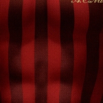  Seconda Pelle, Cover, Studio Novembre