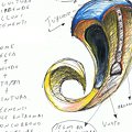 Anello in oro giallo, brillanti e turchese