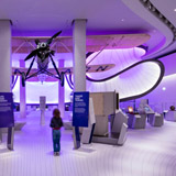 Mathematics, The Winton Gallery, Science Museum, Londra, 2014 - 2017, © Luke Hayes Mathematics, The Winton Gallery, Science Museum, Londra, 2014 - 2017, © Luke Hayes