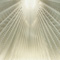 Santiago Calatrava - Auditorio De Tenerife - Tenerife, Spain