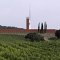 Cantine Panerai La Rocca, Gavorrano (Grosseto), 2001 - 2007