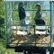 Renzo Piano Building Workshop Punta Nave, 1989 - 1991