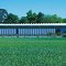 Beyerel Foundation Museum Riehen, 1992 - 1997