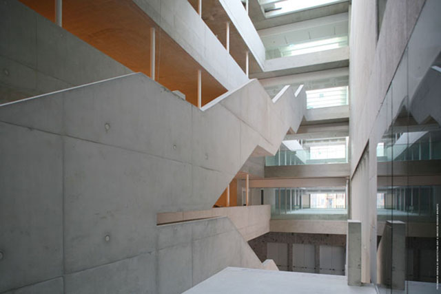 L'edificio dell'Università Bocconi delle irlandesi Shelley McNamara e Yvonne Farrell