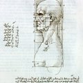 Giuseppe Bossi, Del Cenacolo di Leonardo da Vinci, Milano 1810, copia da Leonardo, Busto di un uomo visto di profilo con schema per le misure della testa, Venezia, Gallerie dell'Accademia
