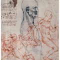 Leonardo Da Vinci, Busto di un uomo visto di profilo con schema per le misure della testa, Foglio numero 236 recto, Venezia, Gallerie dell'Accademia