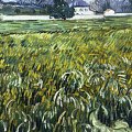 Van Gogh - Casa ad Auvers