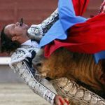 2nd prize singles - Gustavo Cuevas, Spain, EFE - Matador Julio Aparicio is wounded by the bull, Madrid, 21 May