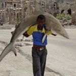 Daily Life: 1st prize singles -Omar Feisal, Somalia, for Reuters - Man carries a shark through the streets of Mogadishu, Somalia, 23 September