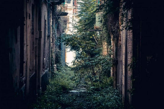 Apice nelle foto di Cesare Abbate
