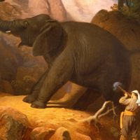 Carl Trost Il Duca Ernst II di Sassonia Coburgo Gotha a caccia dell'elefante alle falde del Ras Dashan in Etiopia, 1862 olio su tela cm 119x103. Roma, Antichit Alessandra Di Castro