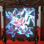 ANIMA- COLLISHAW Specchio con fiori