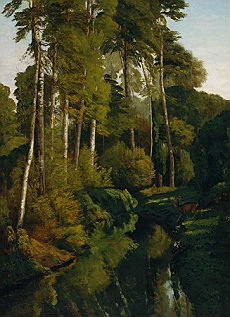 Jean Dsir Gustave Courbet: Fiume nel bosco, 1862 circa. Boston, Museum of Fine Arts